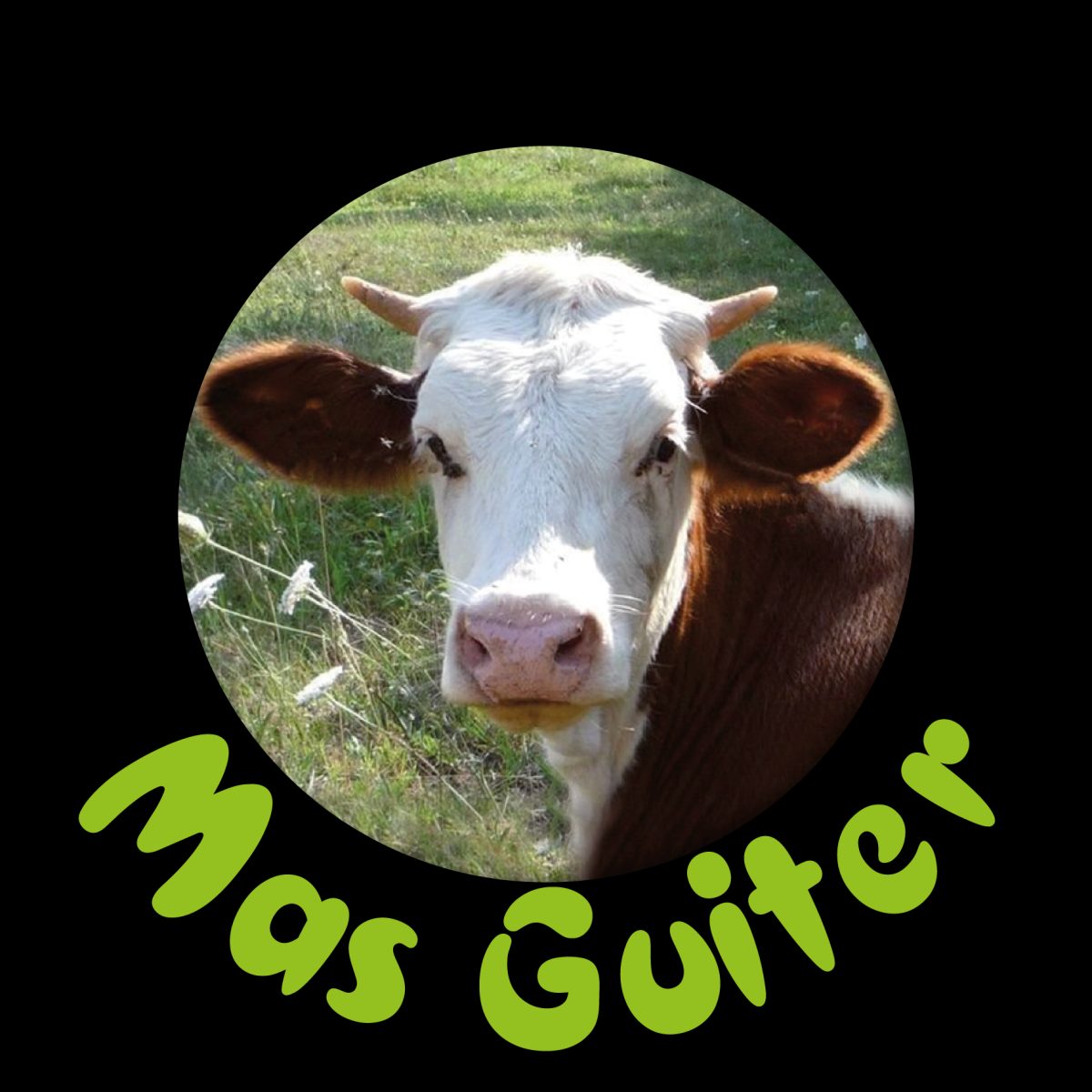 LAITERIE FROMAGERIE DU MAS GUITER