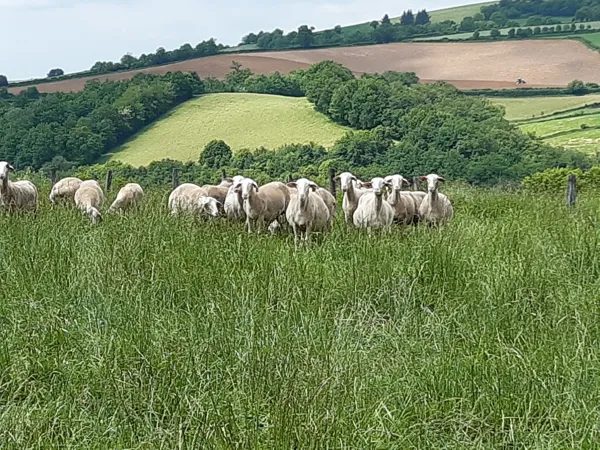 Visite de ferme à Sérieux