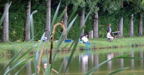 Etang de Pêche Communal de Rouillé
