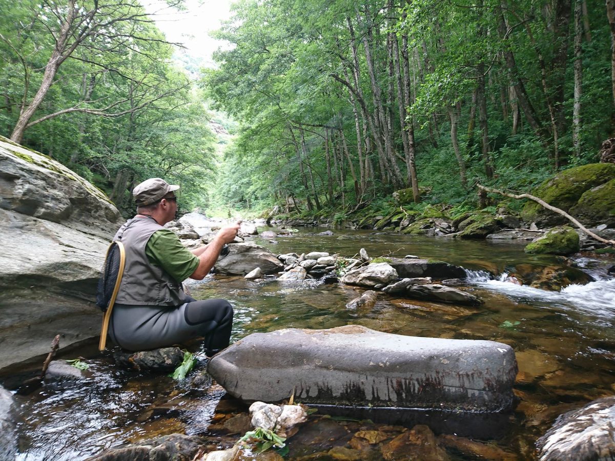 INITIATION PÊCHE AU COUP EN RIVIÈRE