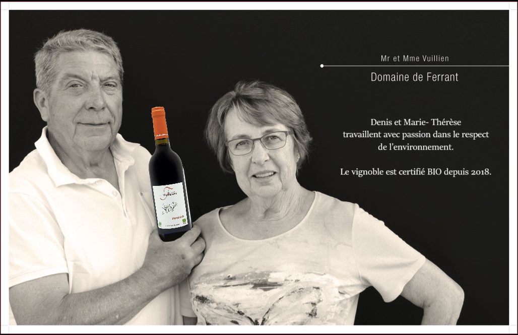 Domaine de Ferrant - SCEA Vignobles Vuillien