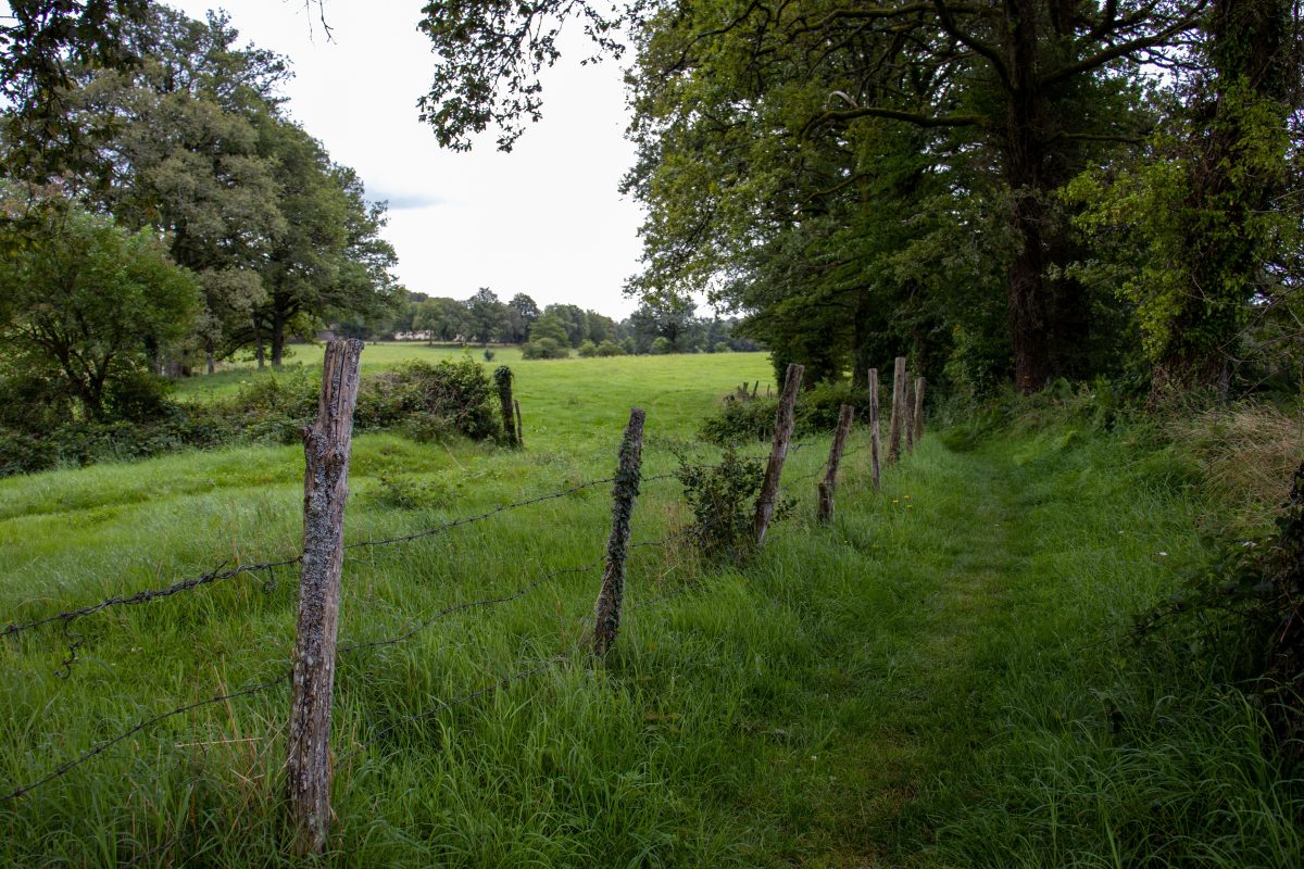 Randonnée  avec Pique et Pousse en Quercy Blanc