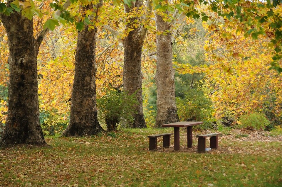 St-Oradoux-près-Crocq : Aire de pique-nique
