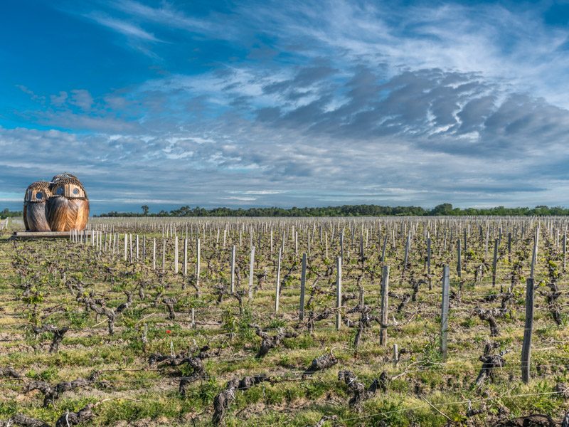 Visite oenologique en Médoc par Wine Hôte
