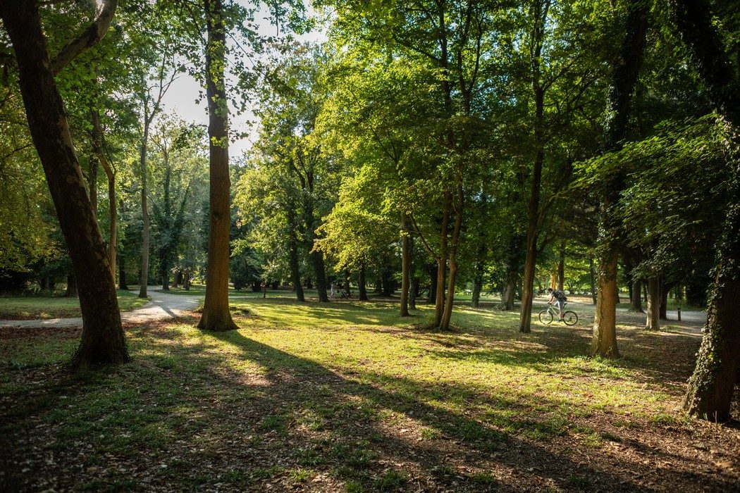 Parcours d'orientation