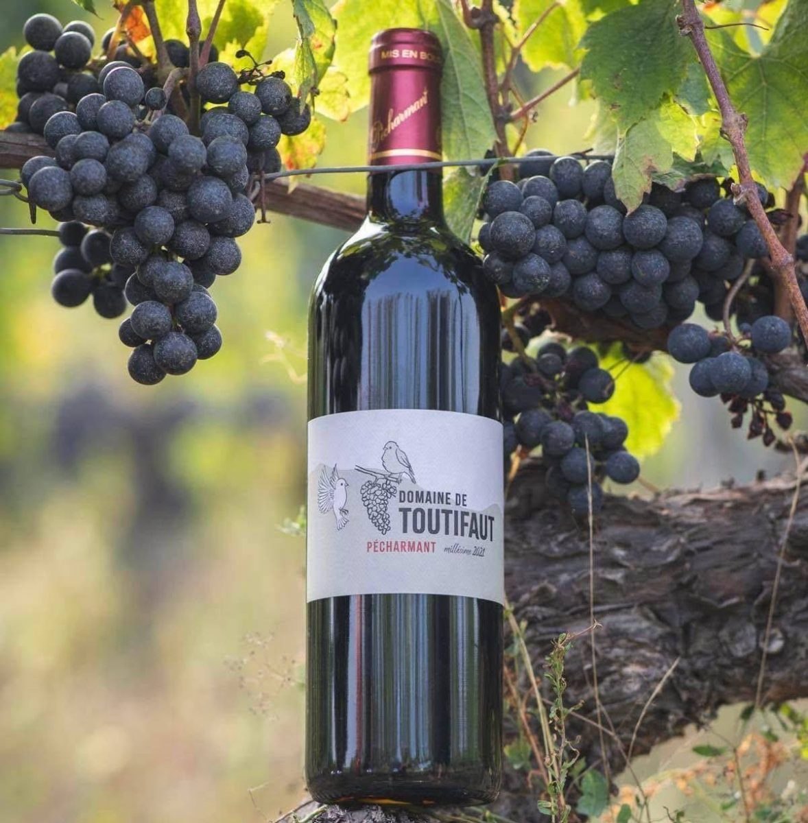 Domaine de Toutifaut