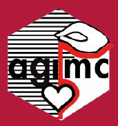 Association Vacances des Infirmes Moteurs de la Gironde