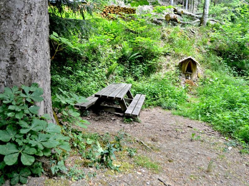 Aire de pique-nique - Toggenbach
