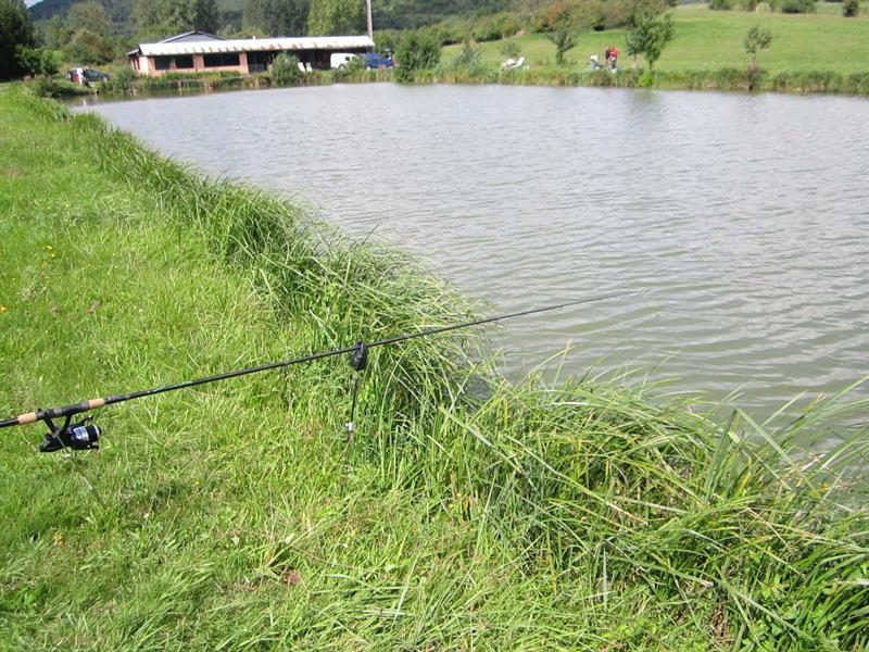Etang  de pêche Syffersmatt