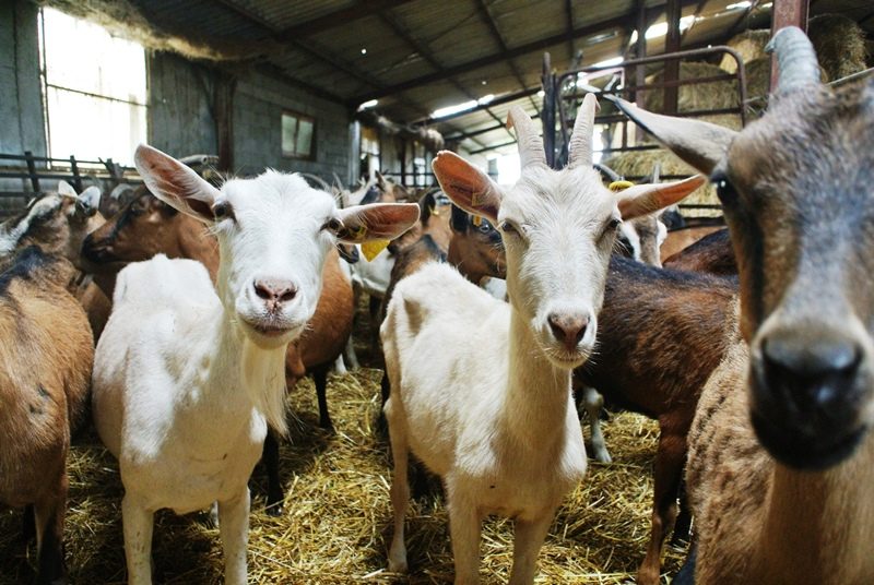 Ferme de La Porte