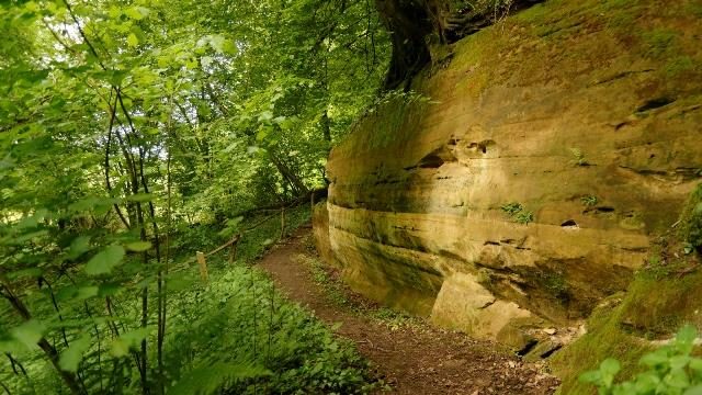 Espace naturel sensible de ranzey