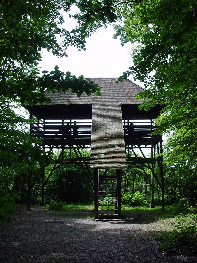 Observatoire du lac d'Orient