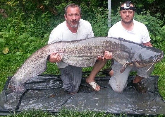 Etang de Rouge - Pêche sportive
