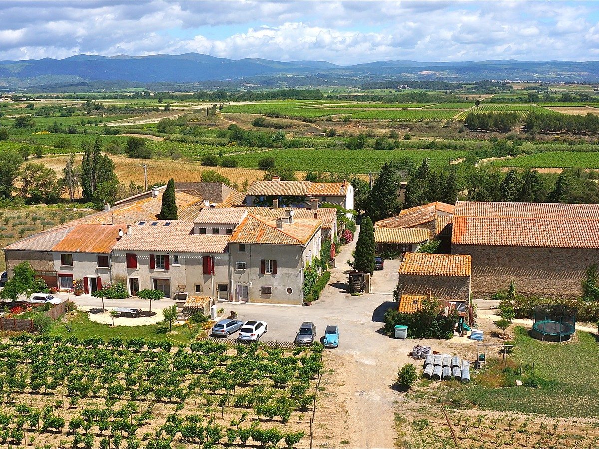 ANNULÉ / BALADES VIGNERONNES EN GRAND CARCASSONNE - DOMAINE DES HOMS