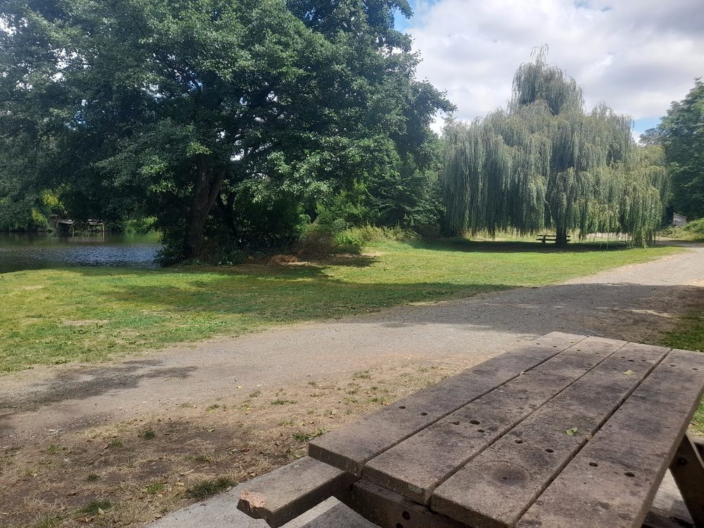 Aire de pique-nique de Saint-Jean-de-Thouars (Les Varannes)