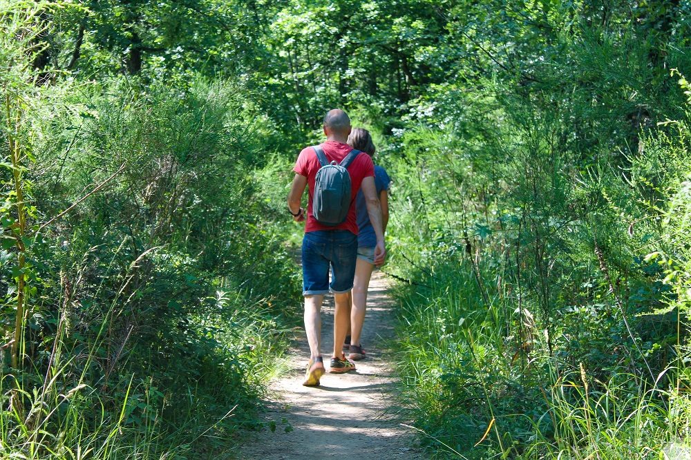 AIRE DE LA FORÊT DE BOUCONNE
