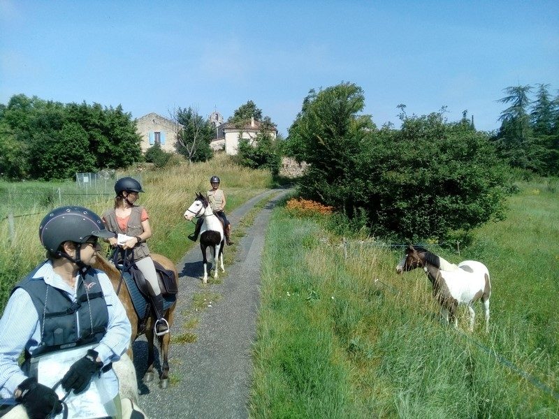 Ferme Equestre des Abrons
