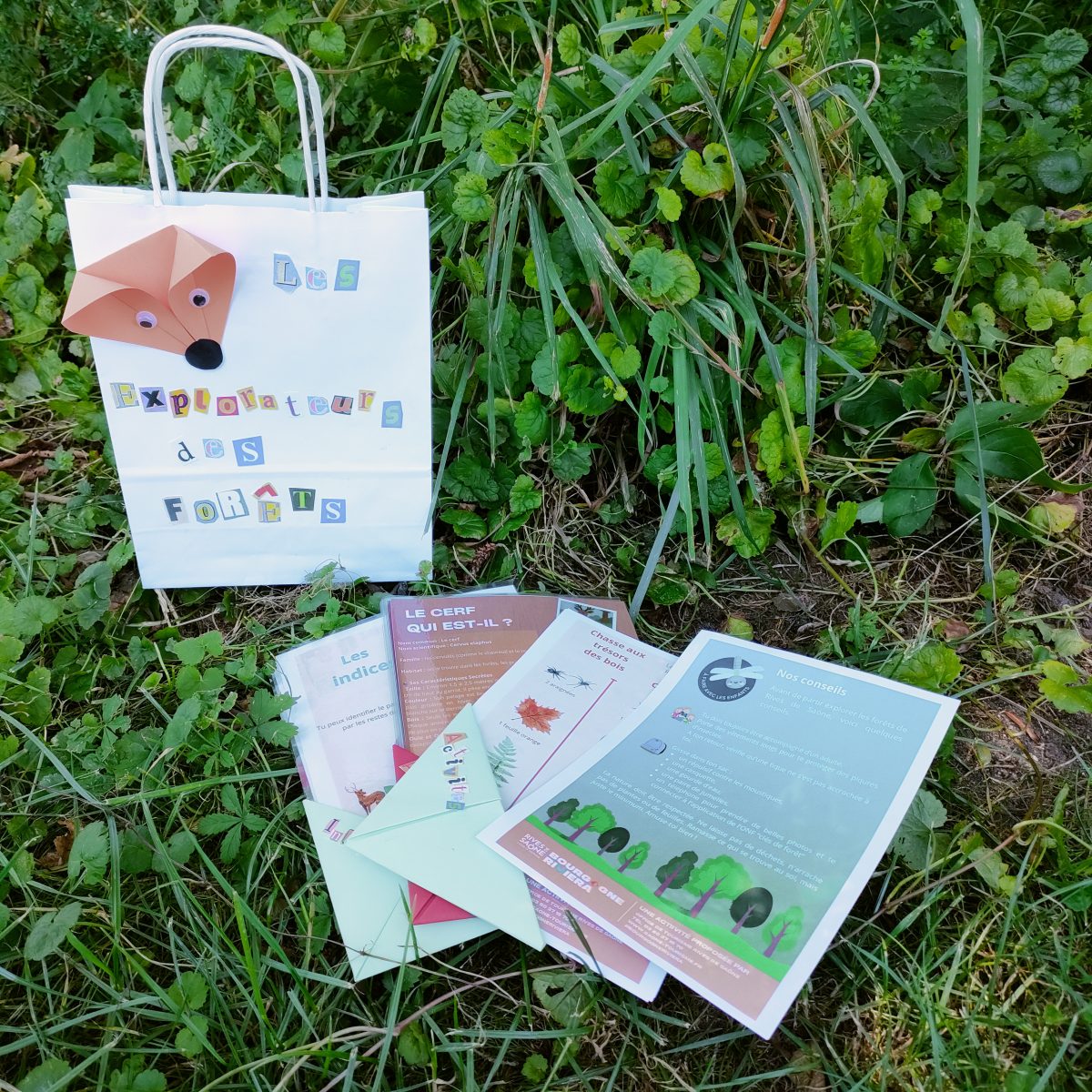 Les explorateurs des forêts