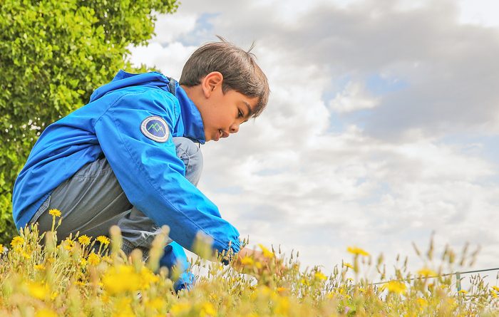 Découverte de la biodiversité