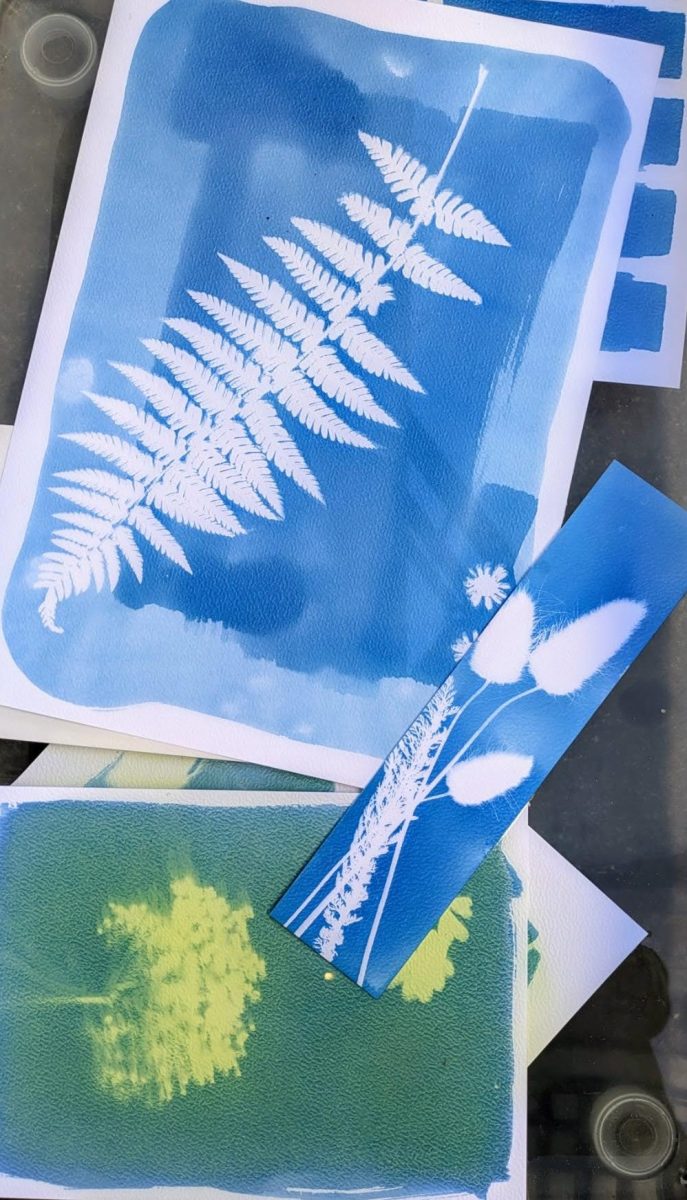 Atelier photographie au cyanotype - Ferme-musée du Cotentin