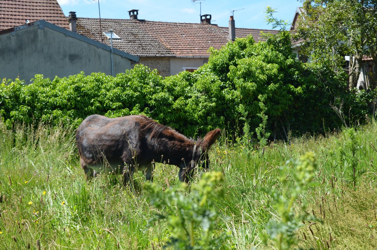 L'Ostal de Rémy