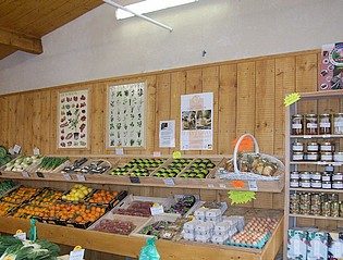 Le Jardin de Romas