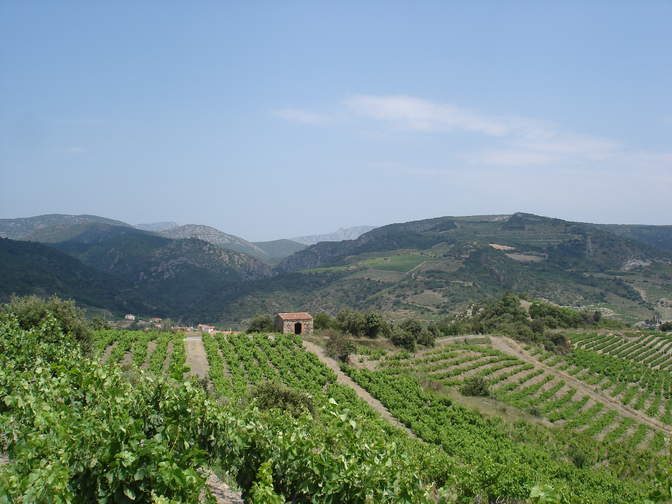 LES VIGNERONS DE TREMOINE