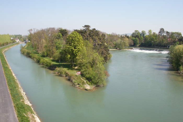 Ile Olive