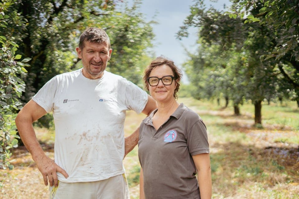 Les vergers de Peyrette