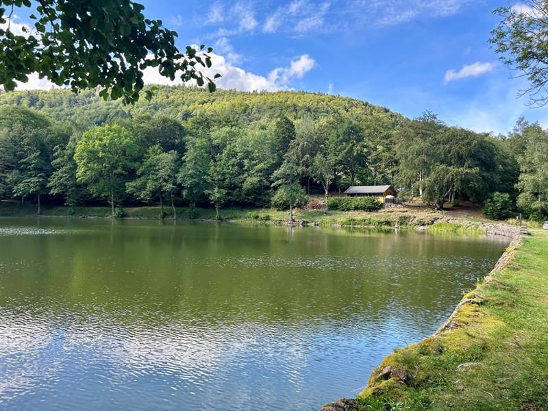 Lac du Lachtelweiher