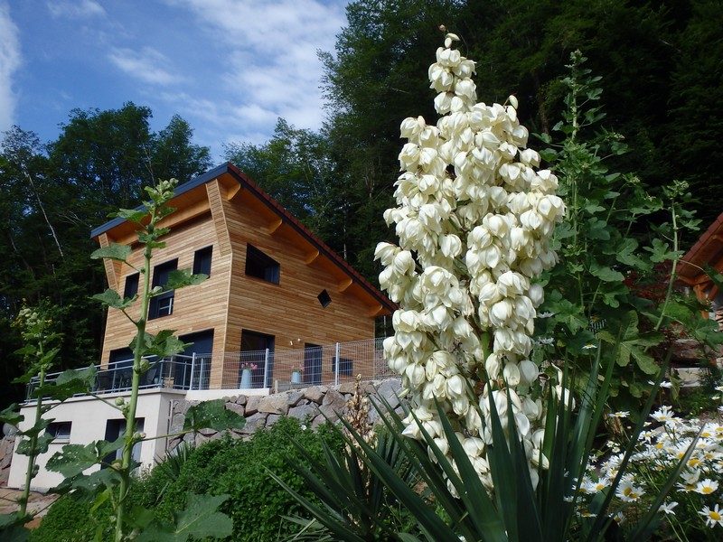 Villa Cora Venez 4 étoiles SPA privatif - Neuf- Vosges du Sud