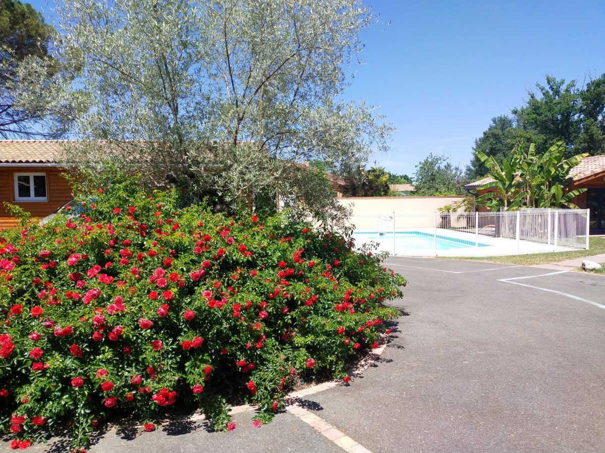 LES GITES DES PALOMBES - CHALET JAUNE