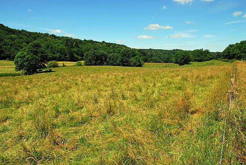 Vallèe de la Mouche
