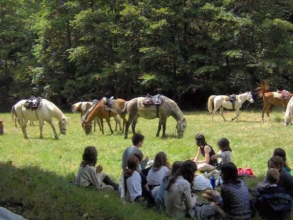 Ferme Equestre du Badour - Balade à Cheval