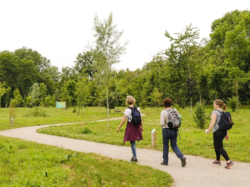 Arboretum