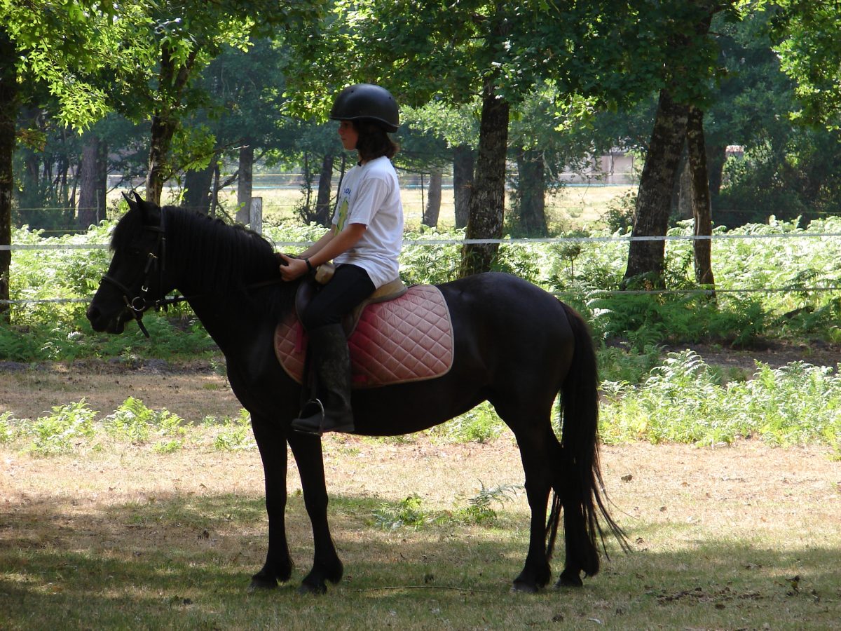 Poney club du Grand Lio