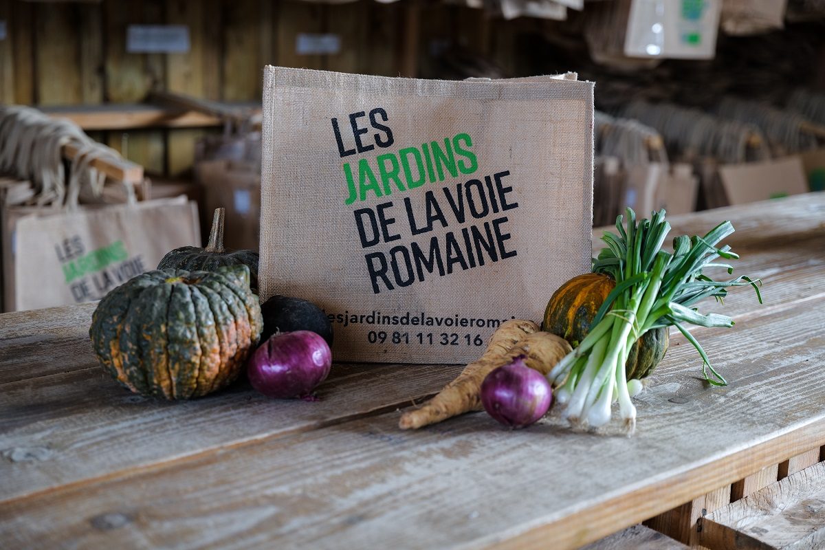 Le jardin maraicher du Beaunois