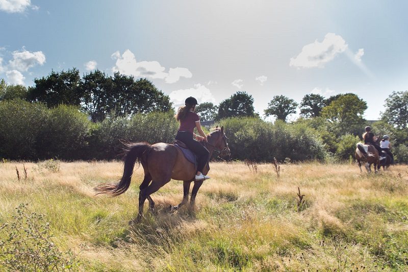 Montgardon Equitation