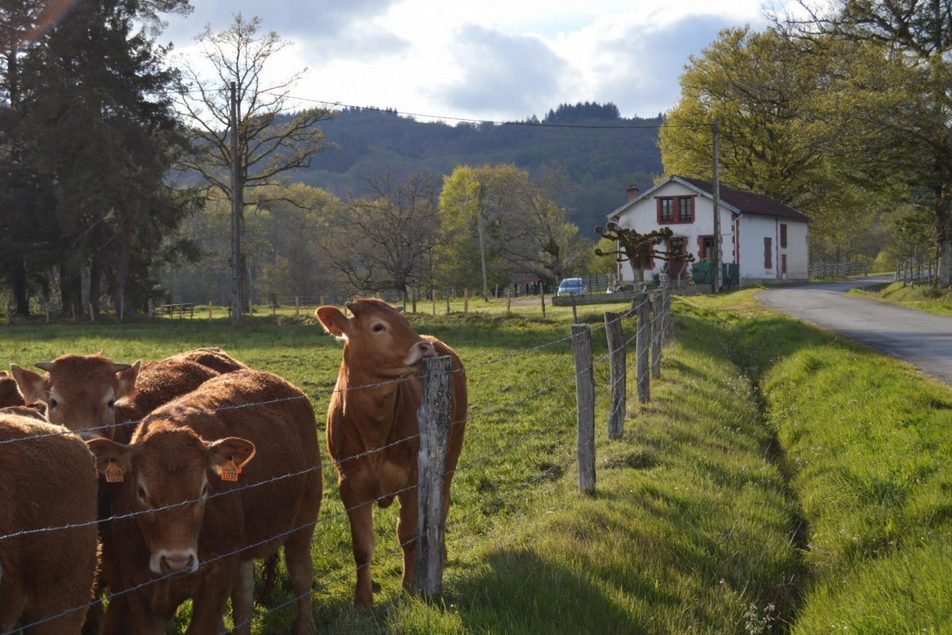 Le Tourtoulloux