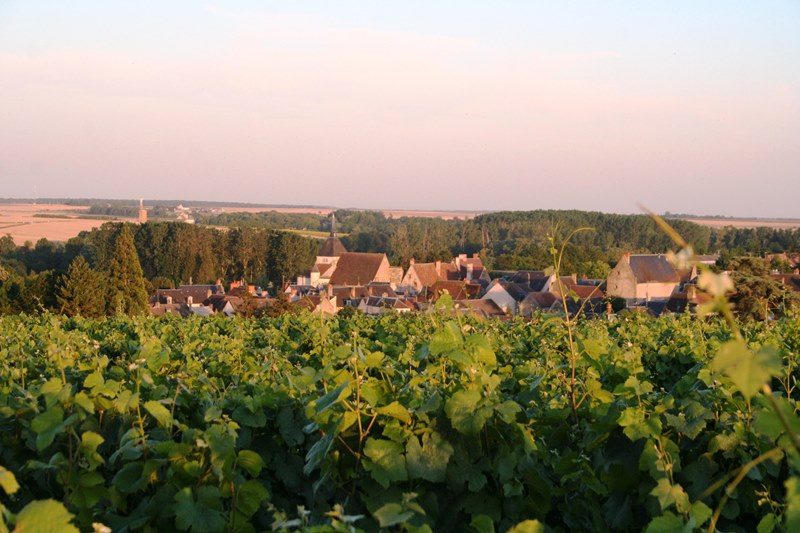 Domaine Cordier
