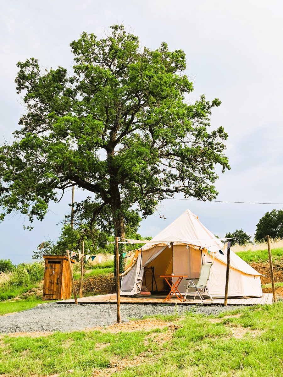Le Bivouac des sauvignons