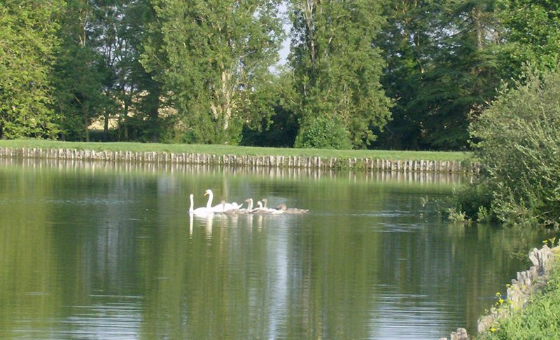Etang des Frênes