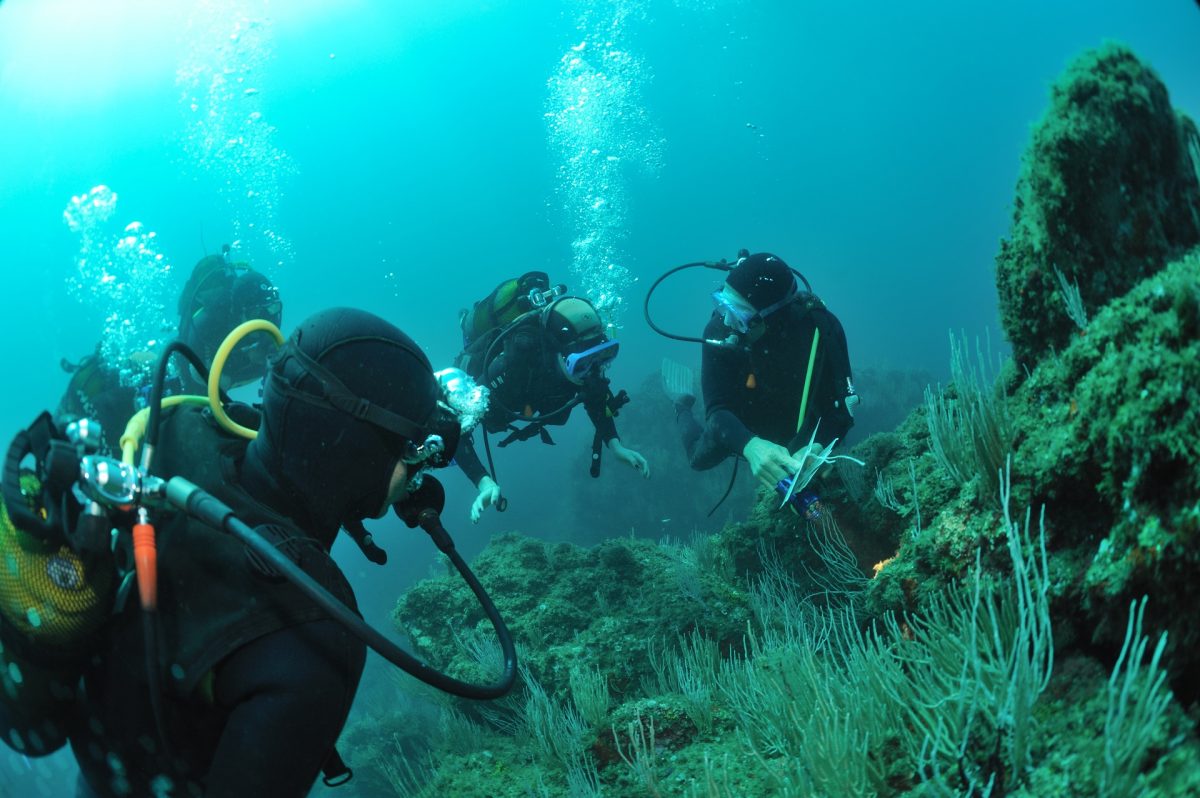 CENTRE DE PLONGEE AQUAPLANET