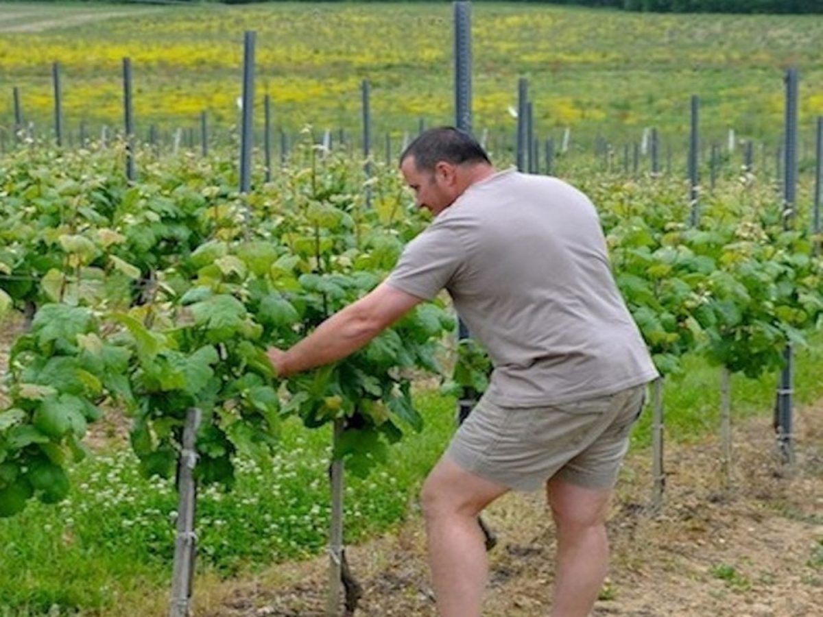 Clos de l'Eglise