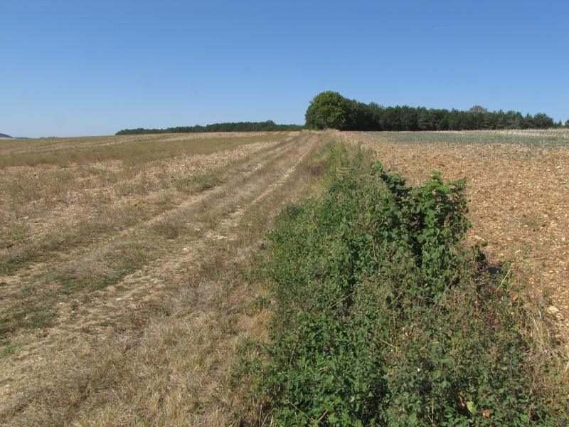 Plaines agricoles du Verteillacois