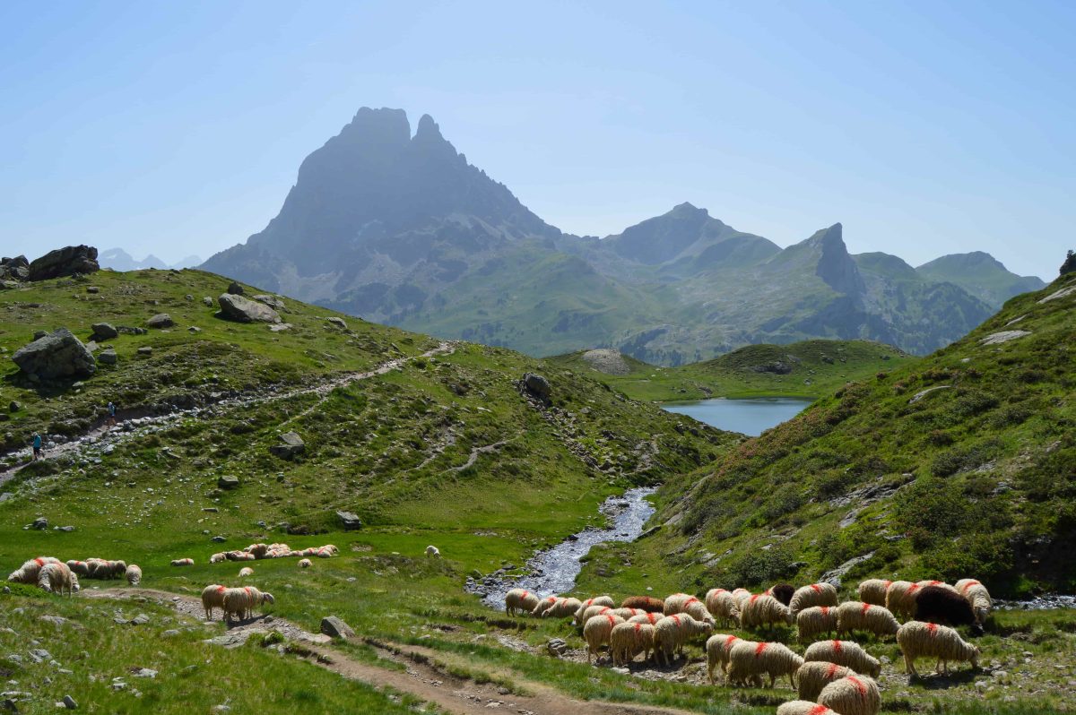 Parc National des Pyrénées