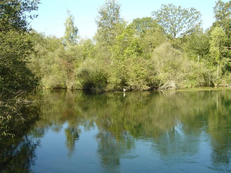 Réserve Naturelle du Taubergiessen