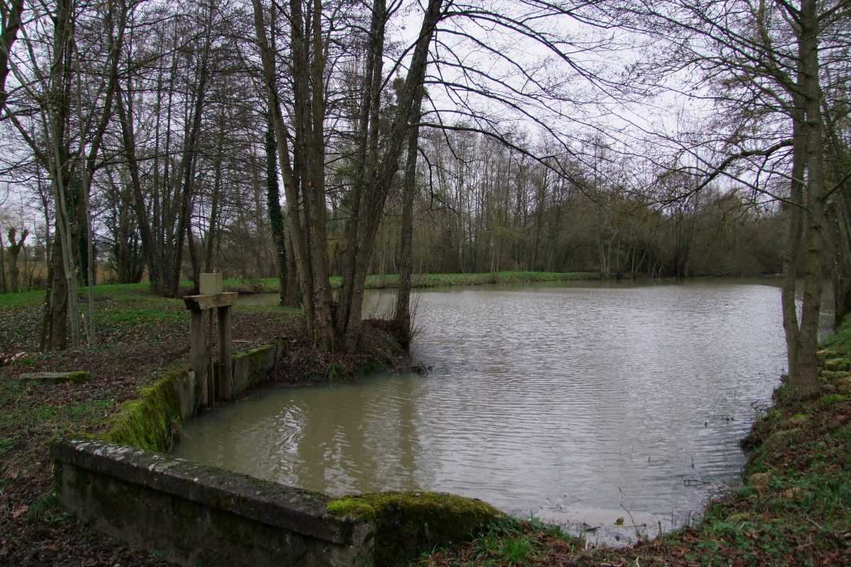Aire de pique-nique de l'étang de Jobert