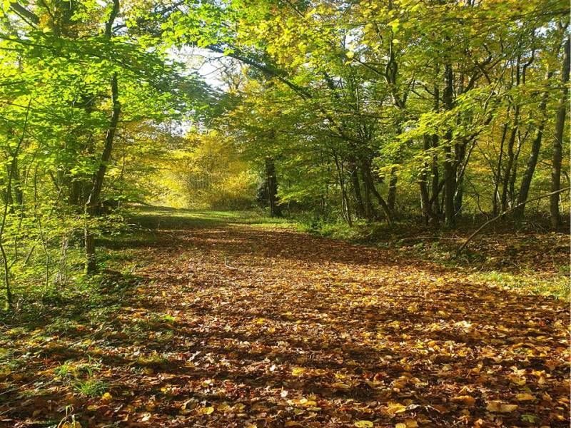 Espace naturel sensible Domaine de Flotin