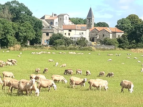 Chez Fanchon - Gîte Le Larzac